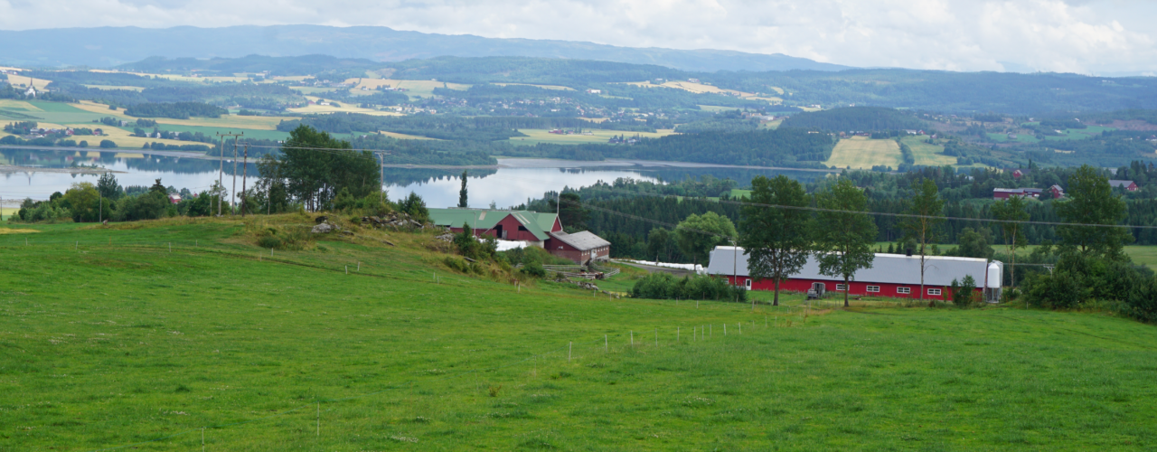 Karbonlagring og matproduksjon hand i hand.  Det prøves det ut en modell som stimulerer til fangst og lagring av karbon i jord i Trøndelag. (Foto: Sissel Hansen)