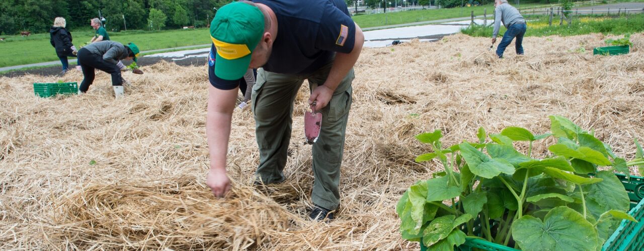 Prosjektbilde Urban Farms Foto: Debio (Foto: Debio)