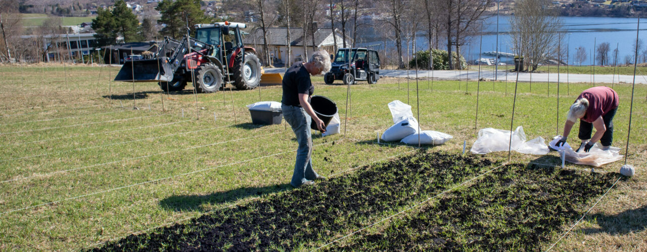 Spredning av ulike typer algemateriale på forsøksfelt på Tingvoll (Foto: Vegard Botterli)