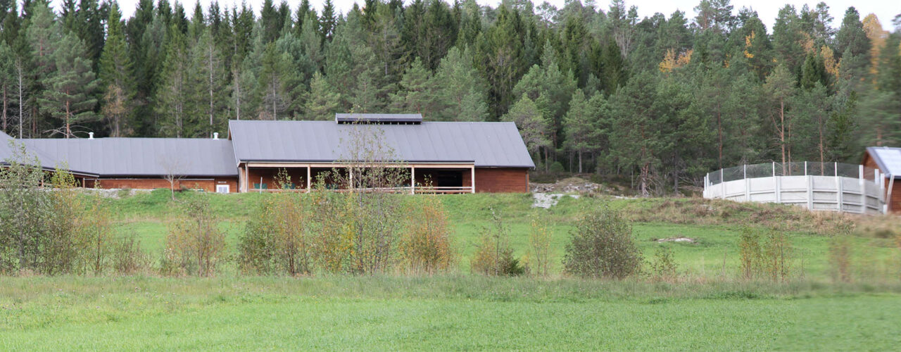 Fjøset på Tingvoll gard (Foto: Anita Land)