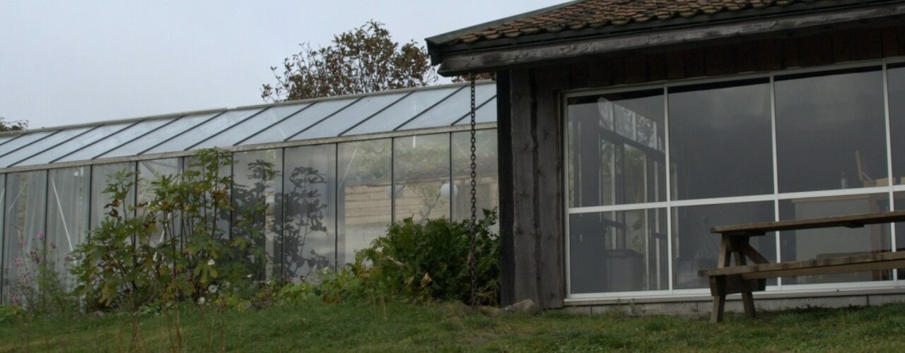 Organic greenhouse production under conversion. (Photo: Susanne Friis Pedersen)