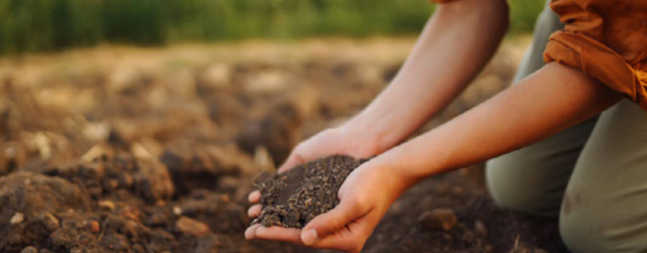 BETTER TOOLS: The project aims to explore and optimize methods that can enhance carbon sequestration and contribute to improved resource utilization and reduced greenhouse gas emissions. (Photo: Adobe Express) (Photo: Adobe express)