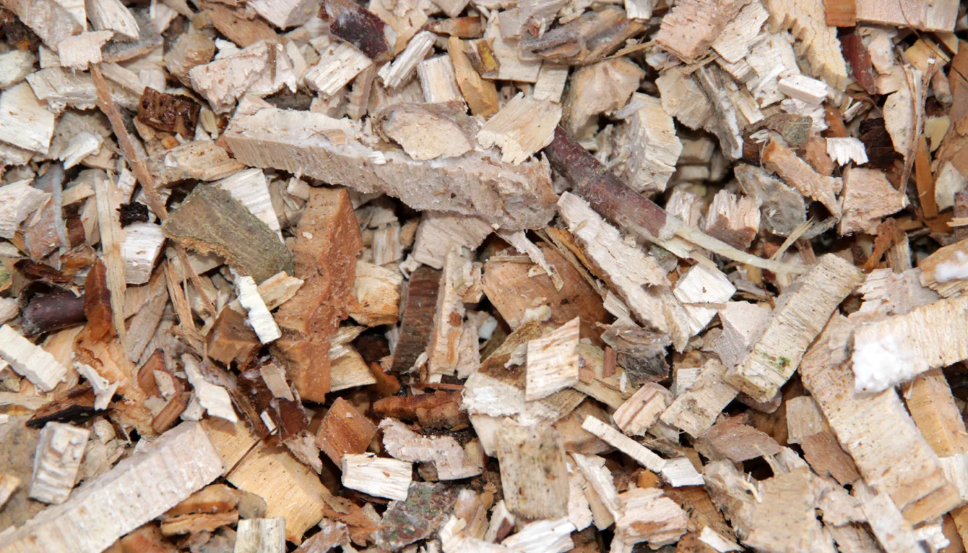 Img 8872flis Foto Anita Land Img 8872flis Foto Anita Land