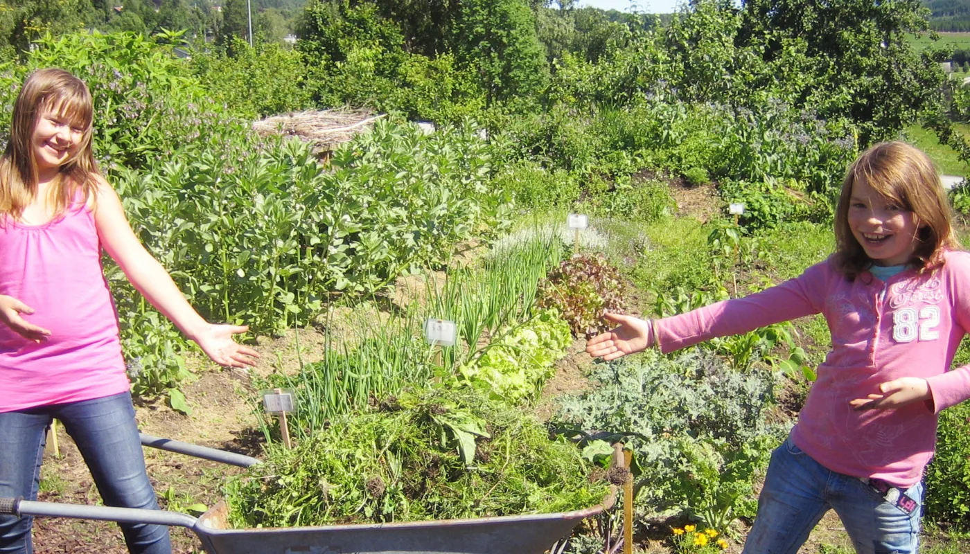 Velkommen til å bli skolehageinspirert! (Foto: Kirsty McKinnon)