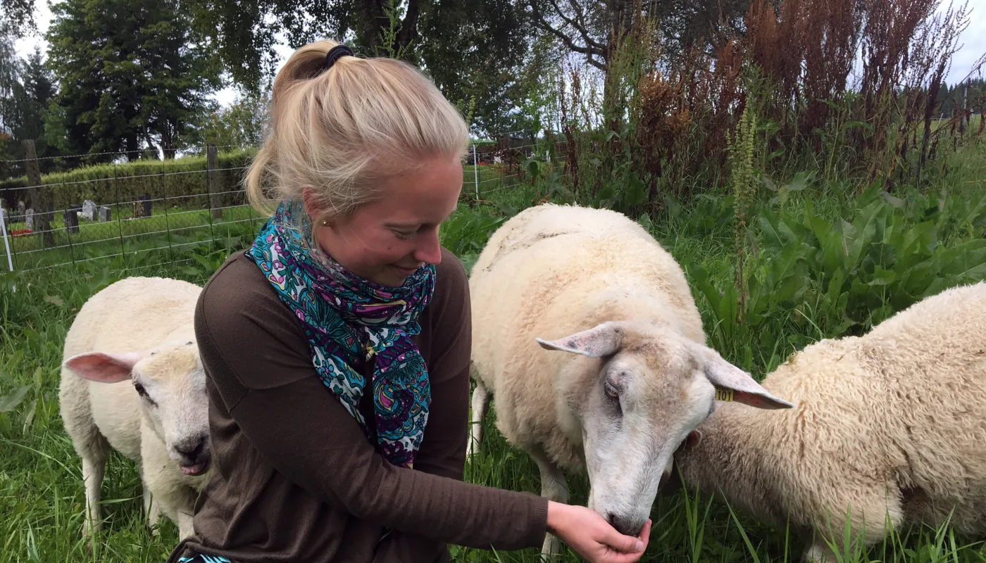 June Rosann Img 5312 Juni Rosann Johanssen vil i samarbeid med Kristin Sørheim, Norsk Landbruksrådgivning, Norsk Sau og Geit og Debio komme med praktiske og økonomiske gjennomførbare løsninger som kan motivere til å fortsette med økologisk saueproduksjon. (Foto: Anita Land)