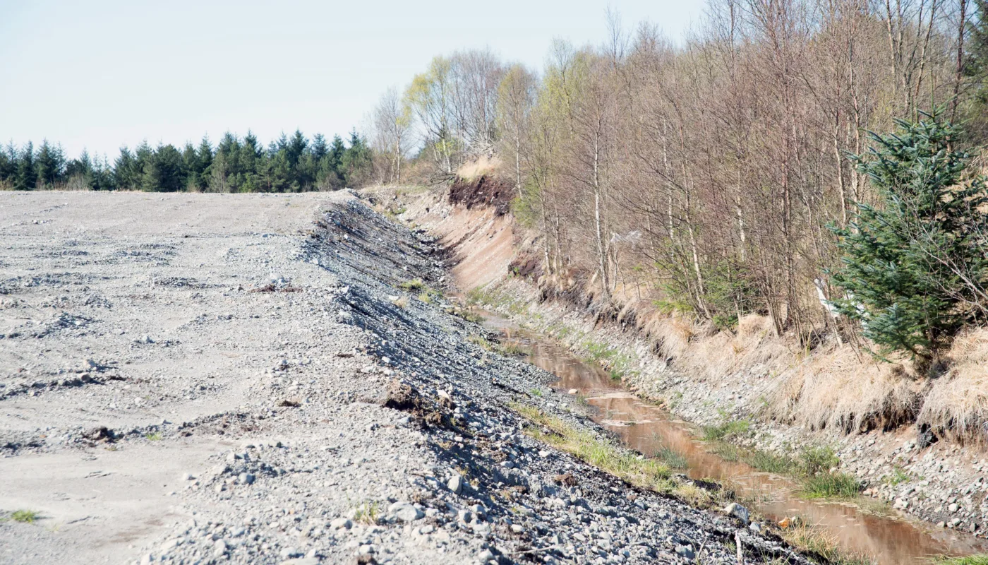 Omgraving av myr (Foto: Sissel Hansen)