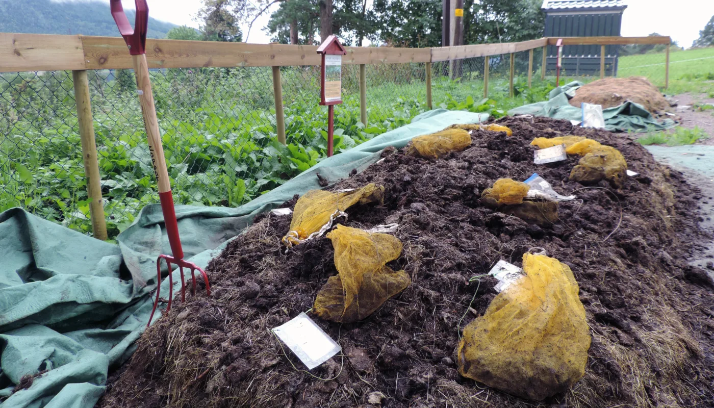 Hestemøkk (Foto: Reidun Pommeresche)