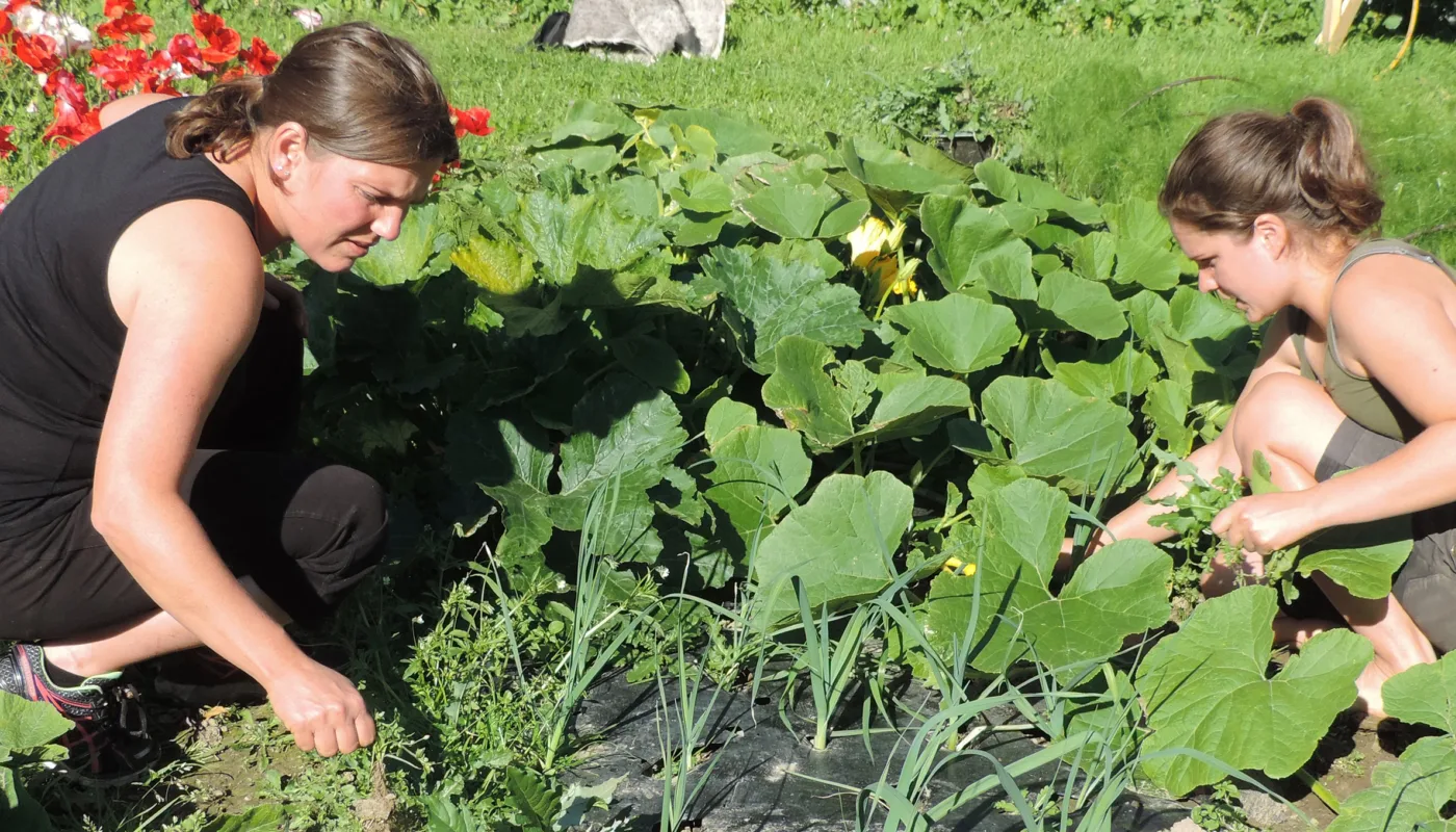 Furugrenda Andelslag Furugrenda Andelslag