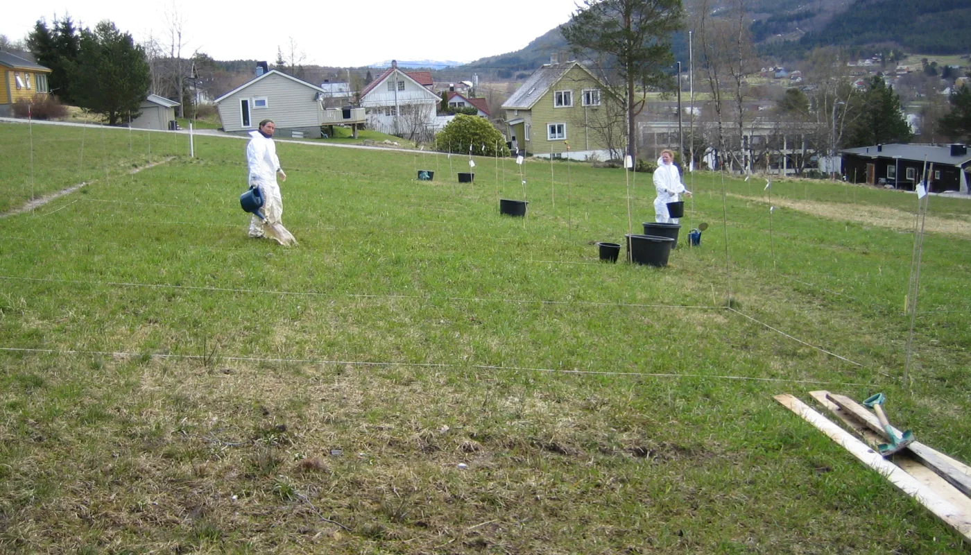 Img 5771  Soileffects