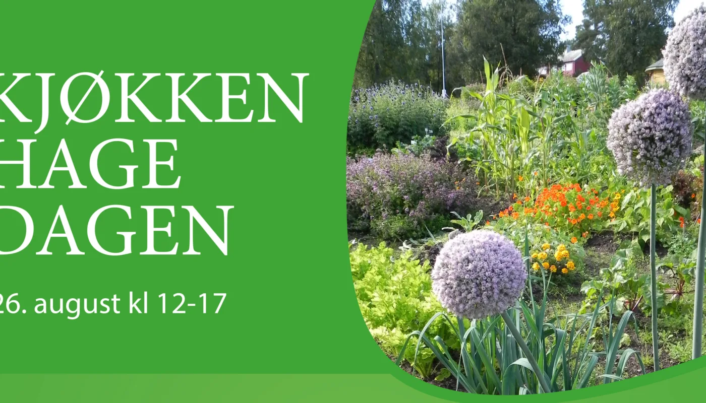Kjøkkenhagedagen Heading