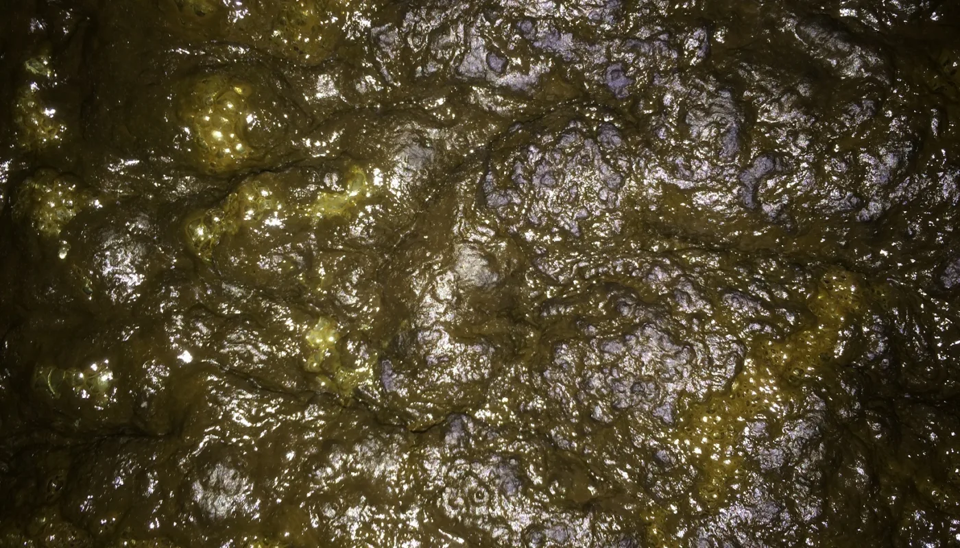 Bokashi Gjødsel Bokashi Gjødsel (Photo: Joshua Cabell)