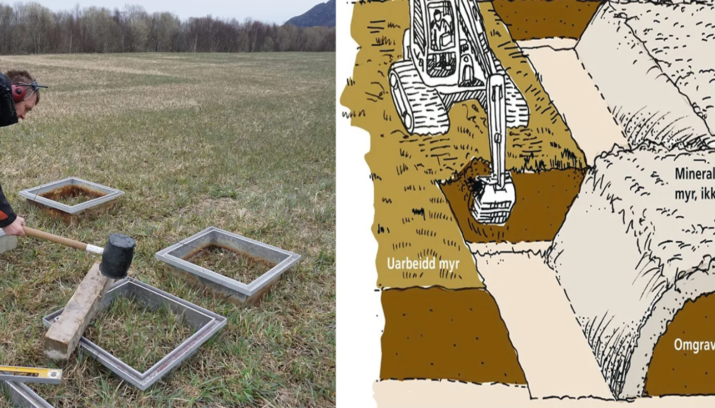 Peatinvert Prosjektbilde (Photo: Sissel Hansen. Tekning: Madlen Berent)