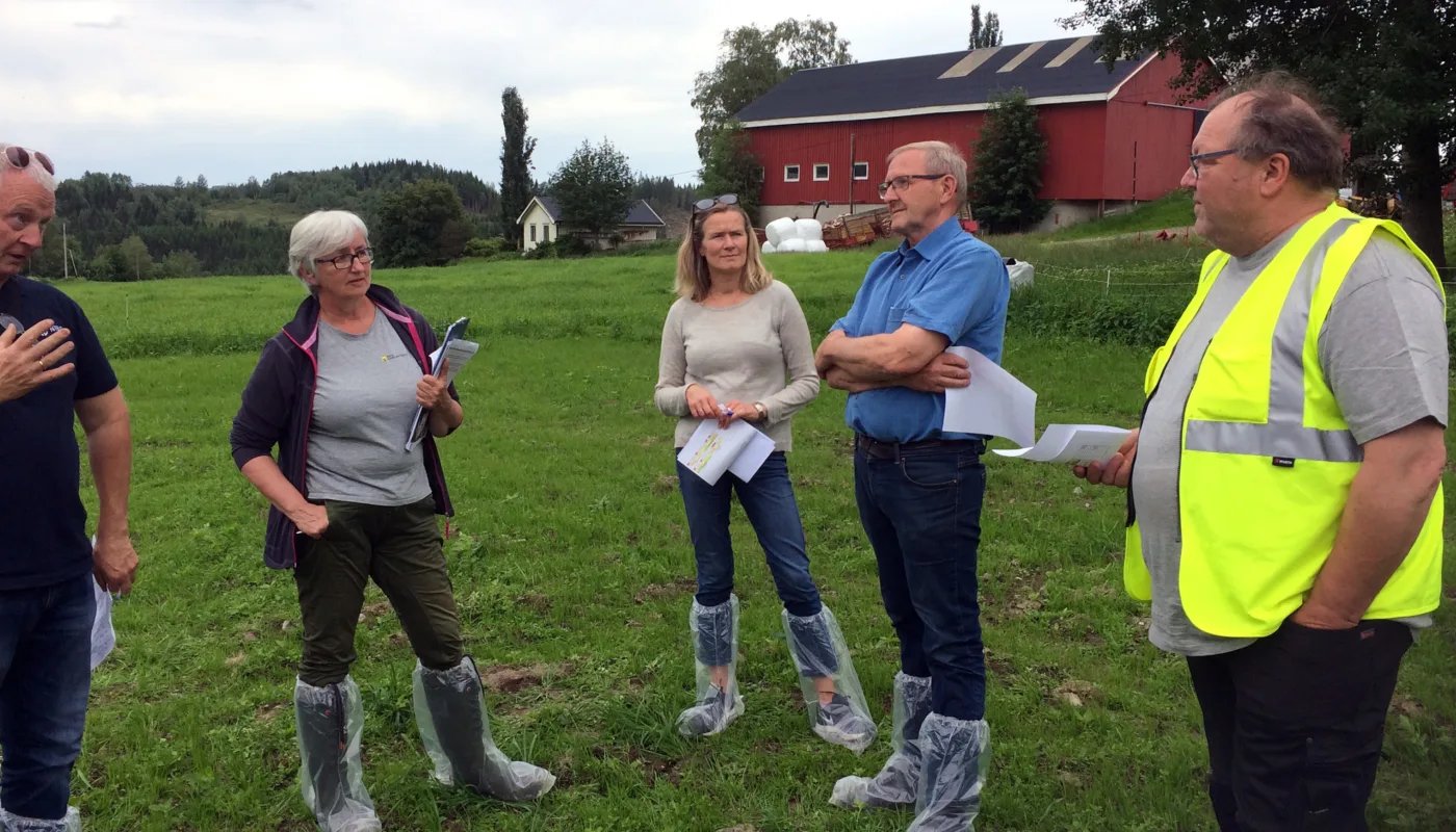 Fra venstre Per Møllerhagen, NIBIO Apelsvoll- Olaug Bach NLR Trøndelag- Gunhild Halvorsen FMLA Trøndelag-Jostein Trøite, kårkall og leder av Økologisk Norge, og Elling Munkeby, potetdyrker i Levanger (Foto: Anne- Kristin Løes)