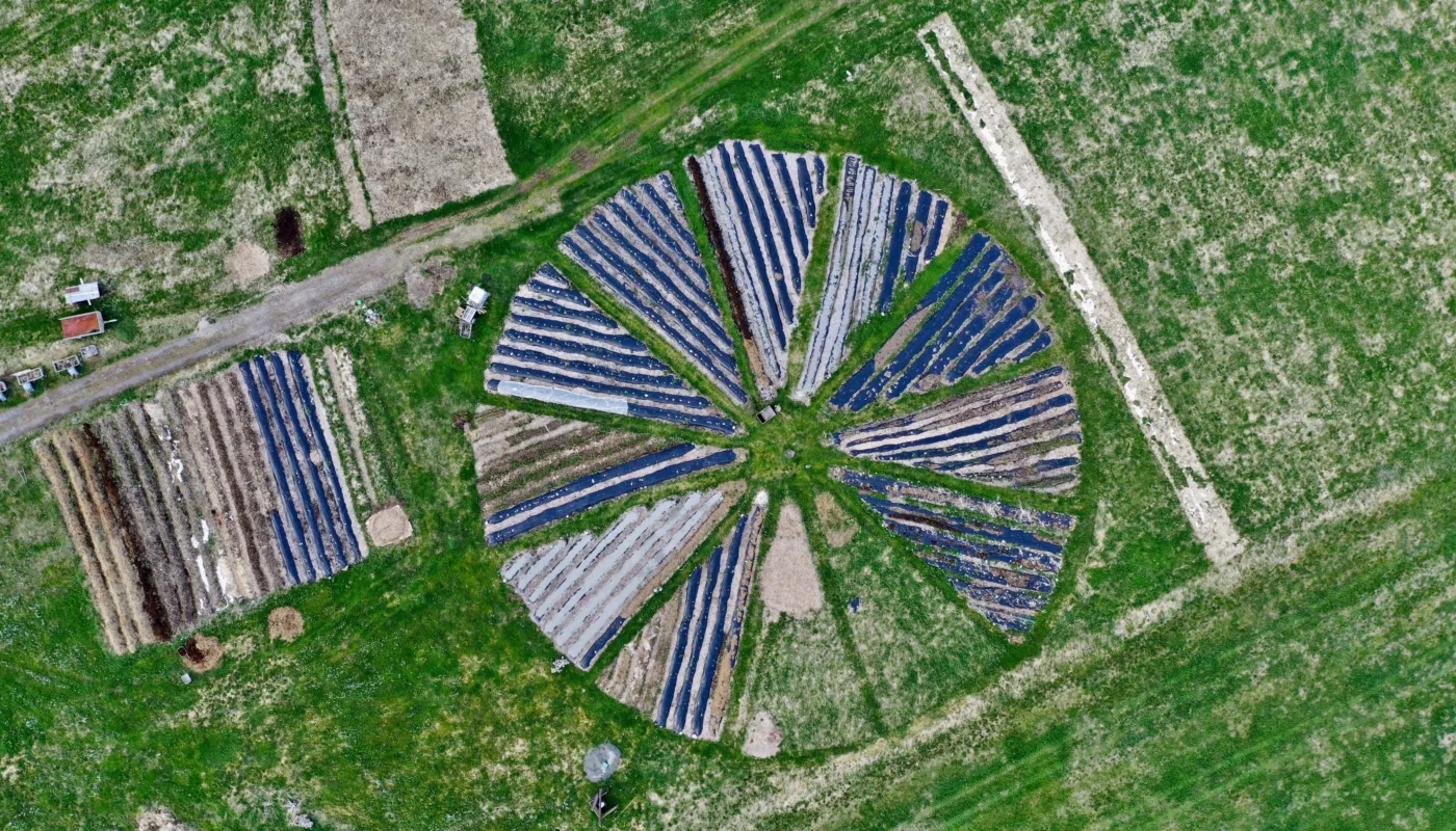 Åker mai 2019 (Foto: Martin Hauge-Nielsen)