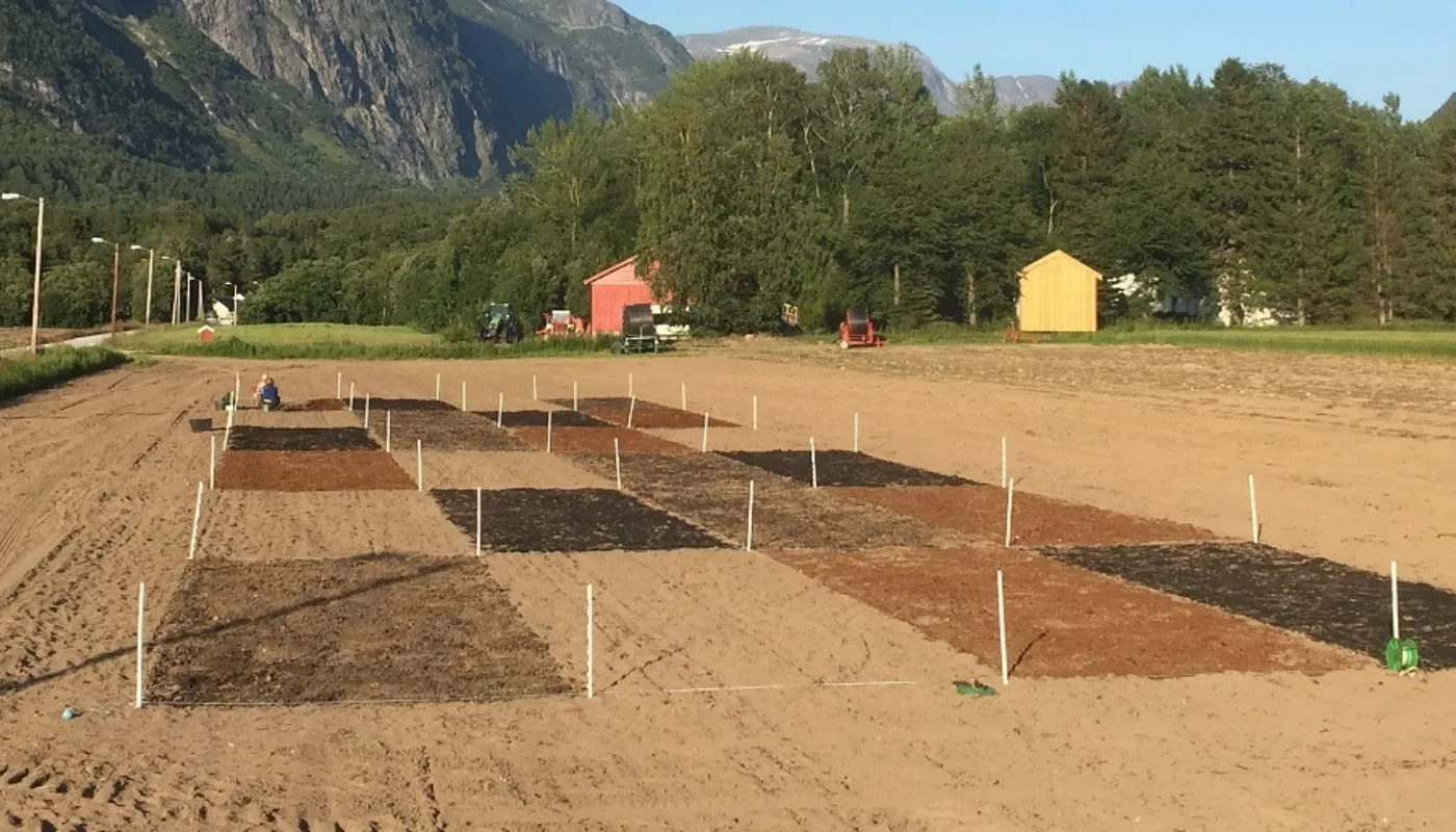 Overview of the field experiment. Treatments in the front from left to right: solid digestate, control (none), horse manure and biochar mixed with liquid digestate. (Foto: Tatiana Rittl)