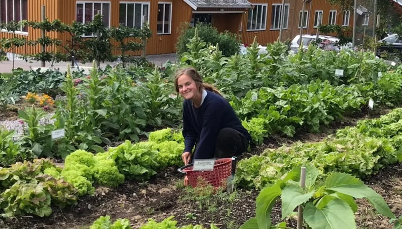 Sara i Stjernehagen på Tingvoll gard (Foto: Nartha Elshani)