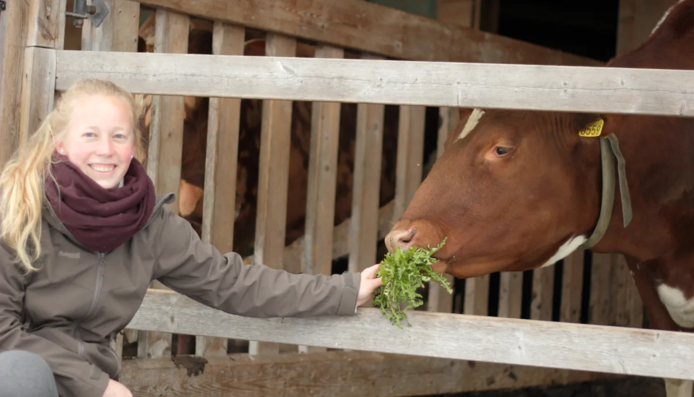 Rosann Johanssen i fjøset på Tingvoll Gard (Foto: Vegard Botterli)