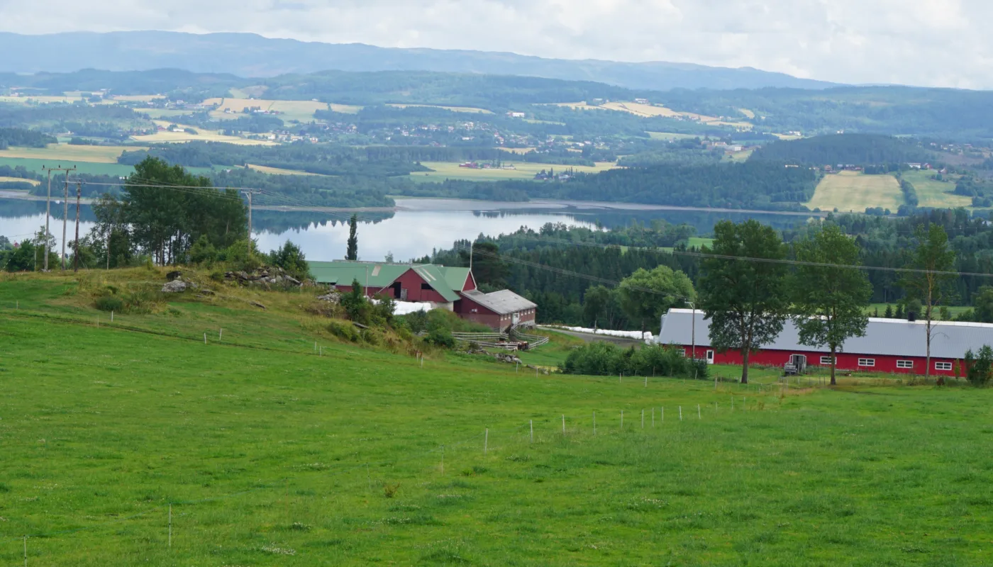 Karbonlagring og matproduksjon hand i hand.  Det prøves det ut en modell som stimulerer til fangst og lagring av karbon i jord i Trøndelag. (Foto: Sissel Hansen)