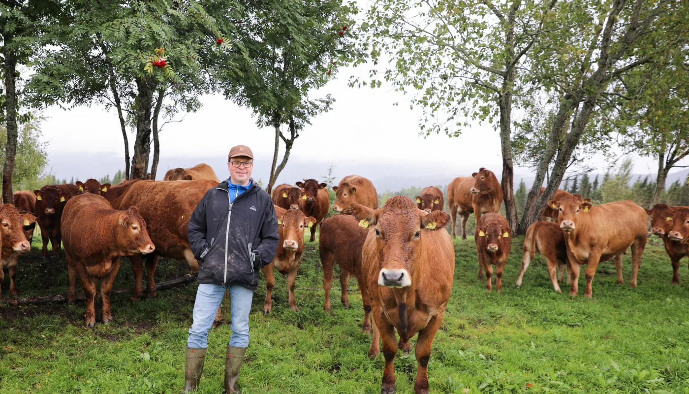 FELLESKAP OG KUNNSKAP: Prosjektet skal knytte sammen nye og vordende økobønder innen både husdyr og plantedyrking for å stimulere til økt produksjon av økologisk mat. (Foto: Birgitta Eva Hollander, Debio.)