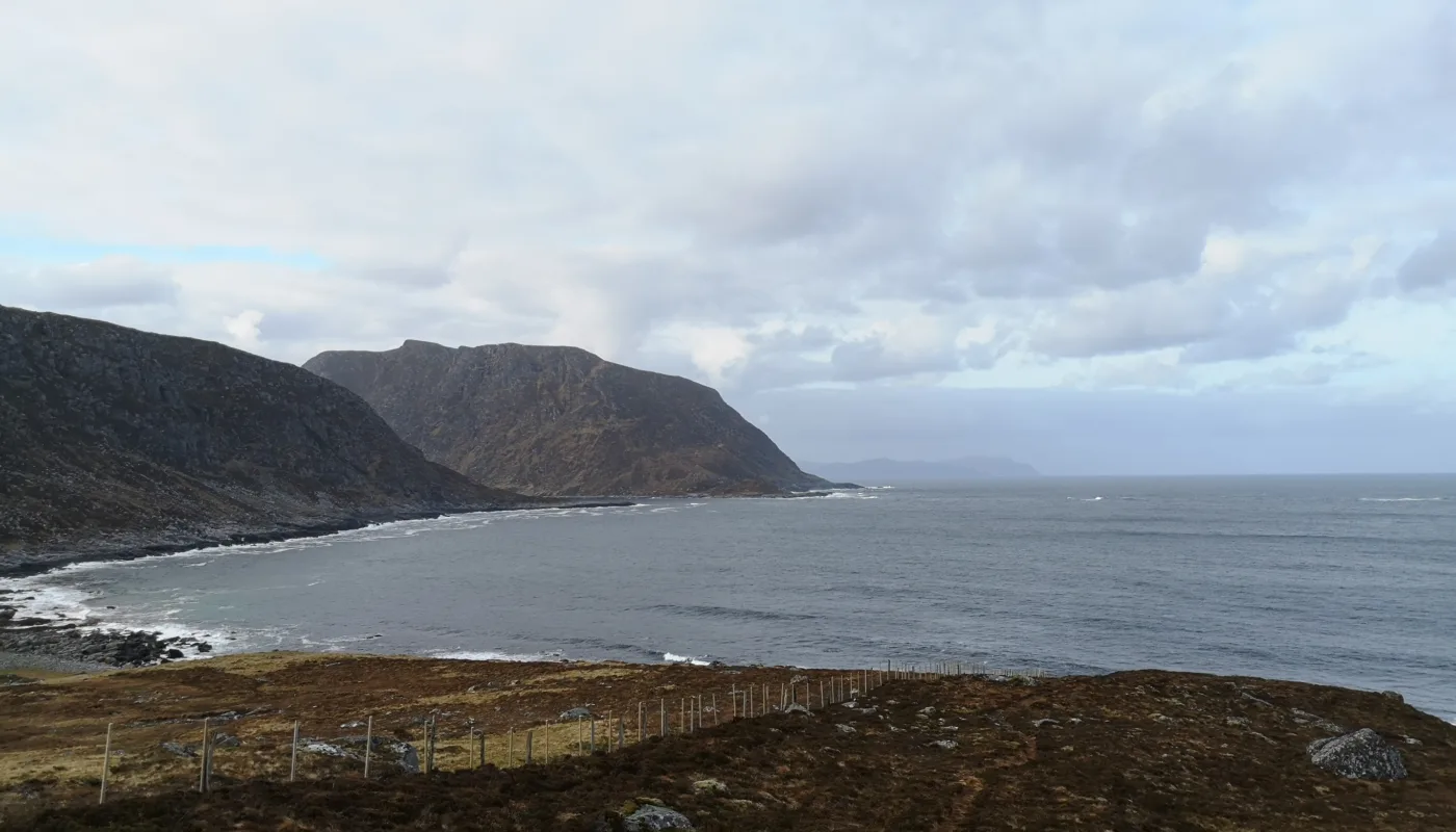 NYE BEITEOMRÅDER: Forskningsfelt på Nerlandsøya i Herøy kommune
