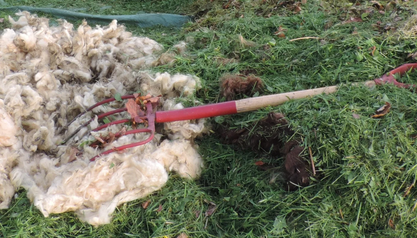 Ull Blandet Med Gressklipp I Kompost Foto Kmc Dscn5639 (Photo: Kirsty Mckinnon)
