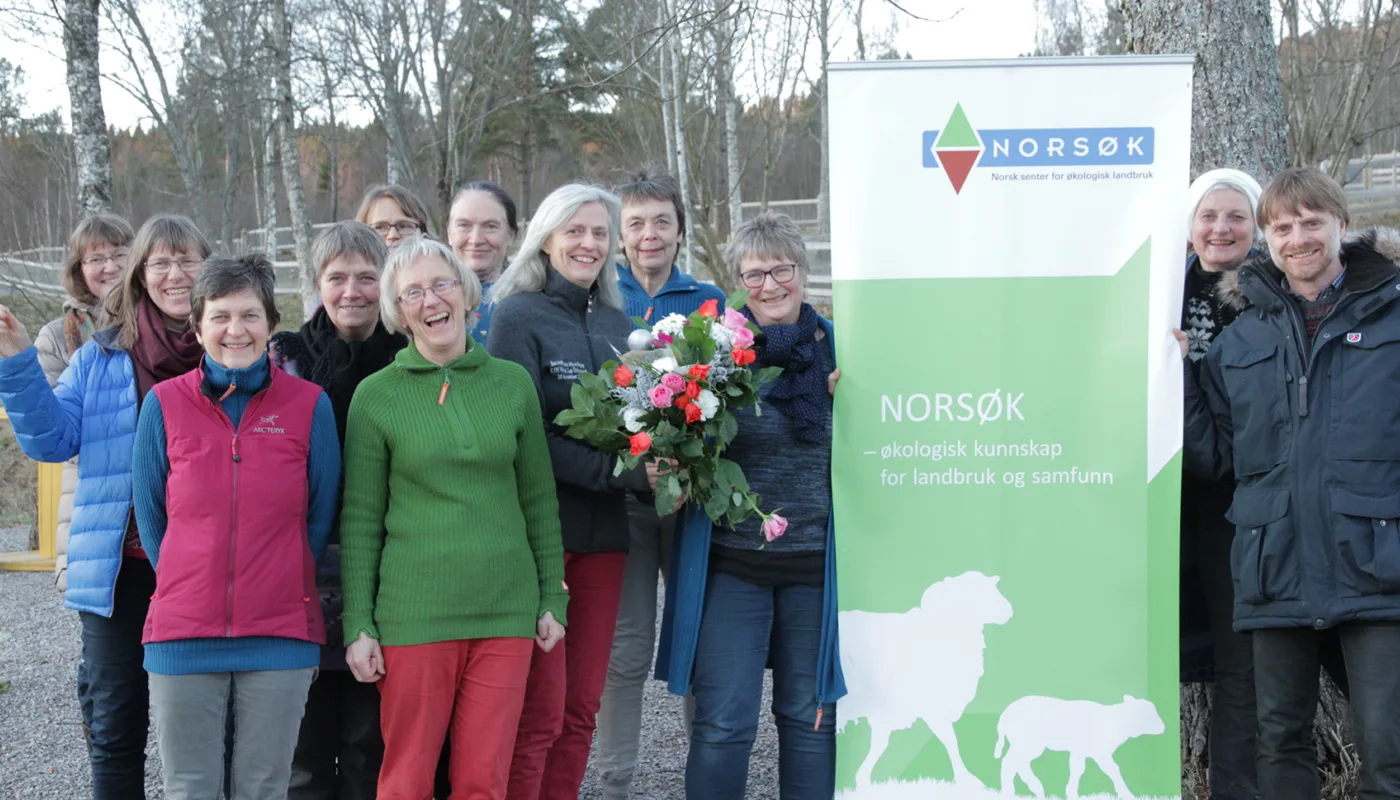 «Nye» NORSØK har 13 tilsette.  Her er 12: Frå venstre Susanne Friis Pedersen, Sissel Hansen, Martha Ebbesvik, Anne- Kristin Løes, Reidun Pommeresche (bak), Grete Lene Serikstad, Kirsty McKinnon  (bak), Liv Solemdal, Kristin Sørheim, Turid Strøm, Anita Land og Atle Wibe.