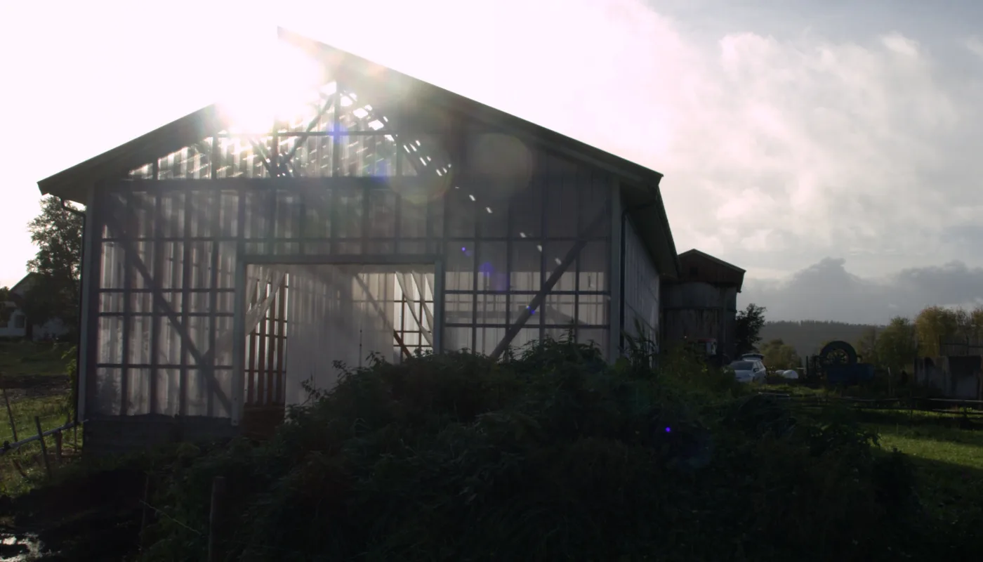 NYTT REGELVERK: Nye regler vil kreve andre dyrkingsmetoder for økologisk veksthusproduksjon (Foto: Susanne Friis Pedersen)