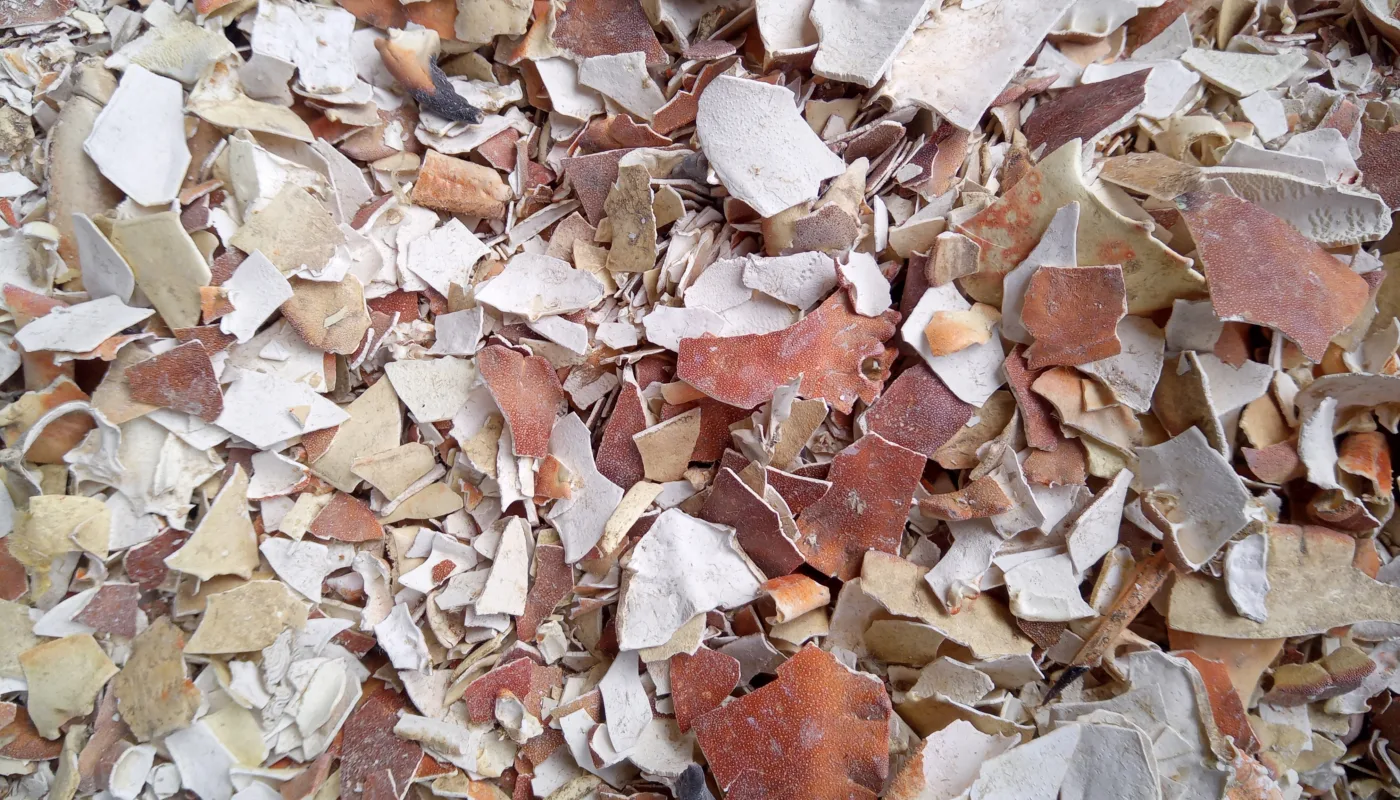 Sea-preserved crab shell is a residual material with value for agriculture. (Photo: Sara Hansdotter)