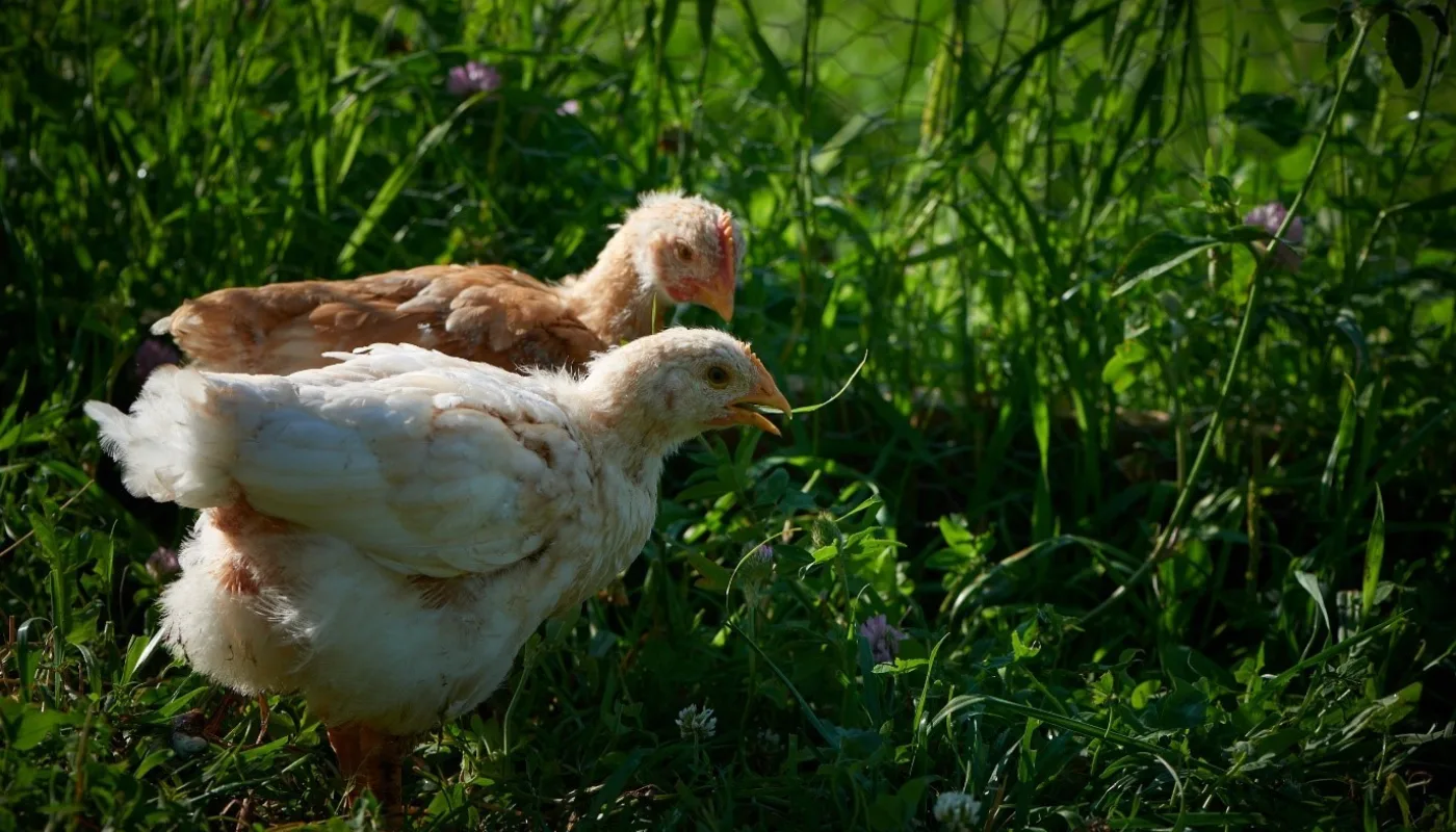 1 1 (Photo: Steffen Adler)