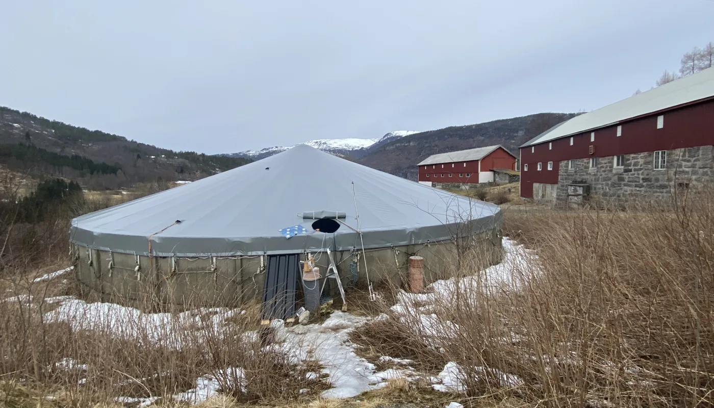 Methane emissions: Sensors will be placed over cattle slurry to continuously measure emissions of methane, a potent greenhouse gas. (Photo: NORSØK)