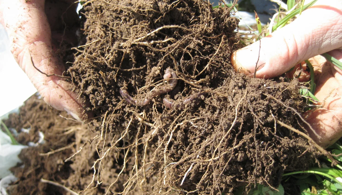 4001 Foto Mona Ringnes Og Reidun Pommersche 4001 Foto Mona Ringnes Og Reidun Pommersche (Photo: Mona Ringnes og Reidun Pommersche)