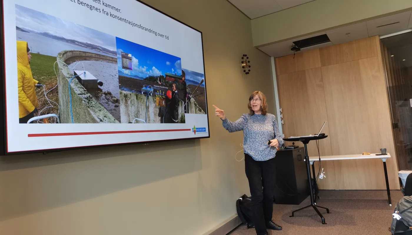 Seniorforsker Sissel Hansen (NORSØK) innledet om metangassmålinger i det norske landbruket og potensielle tiltak som kan begrense de. (Foto: Synnøve Rivedal)