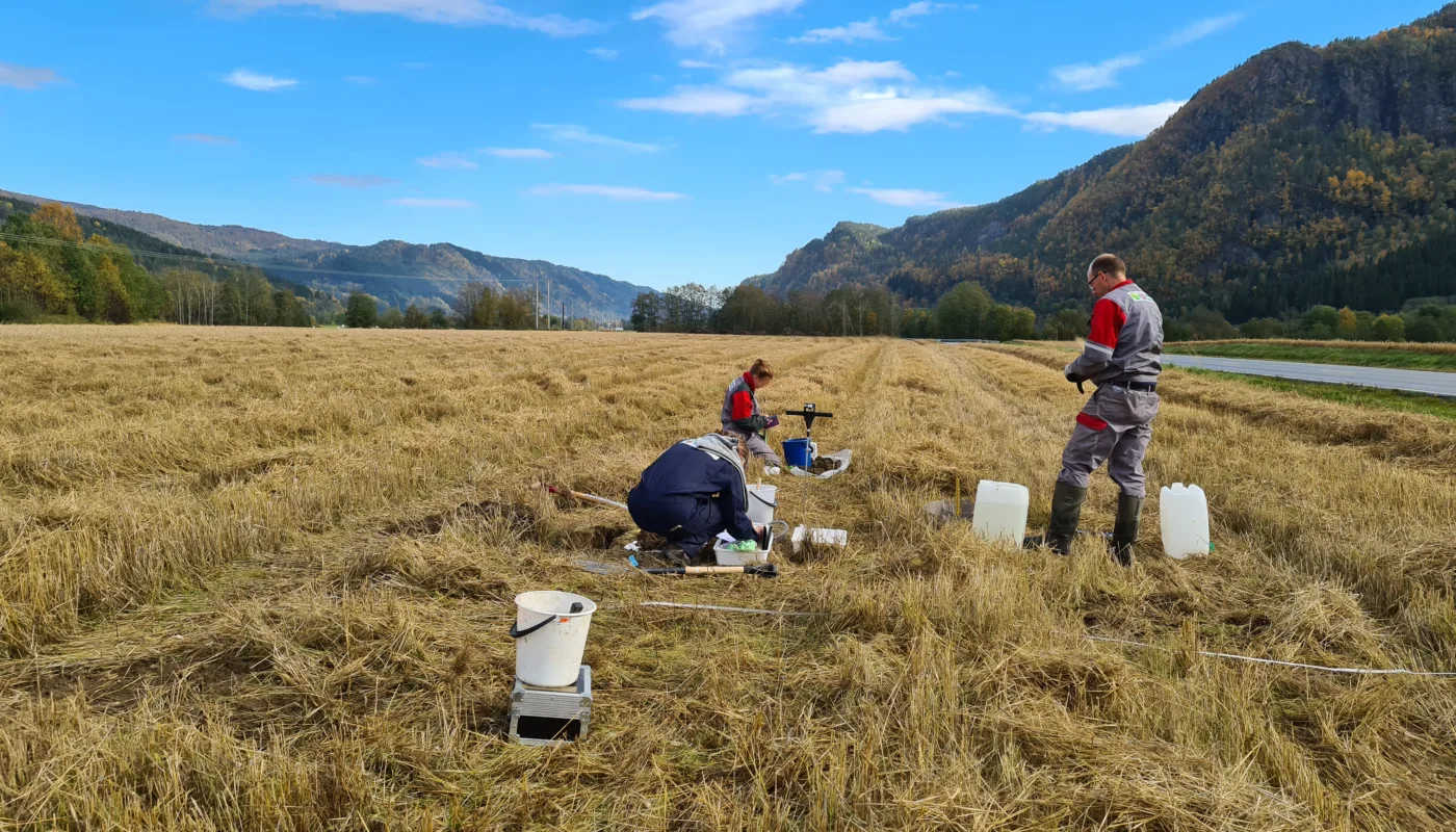 IN THE FIELD: At NORSØK you will have the opportunity to gain experience in field-research as well as theoretical work, guided by experienced research scientists. (Photo: Vegard Botterli)