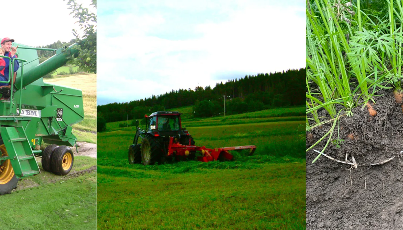 Heading JHP Bedring av jordhelse i ulike produksjoner må tilpasses norske forhold og gjøres sammen med bonden. (Foto: Reidun Pommeresche)
