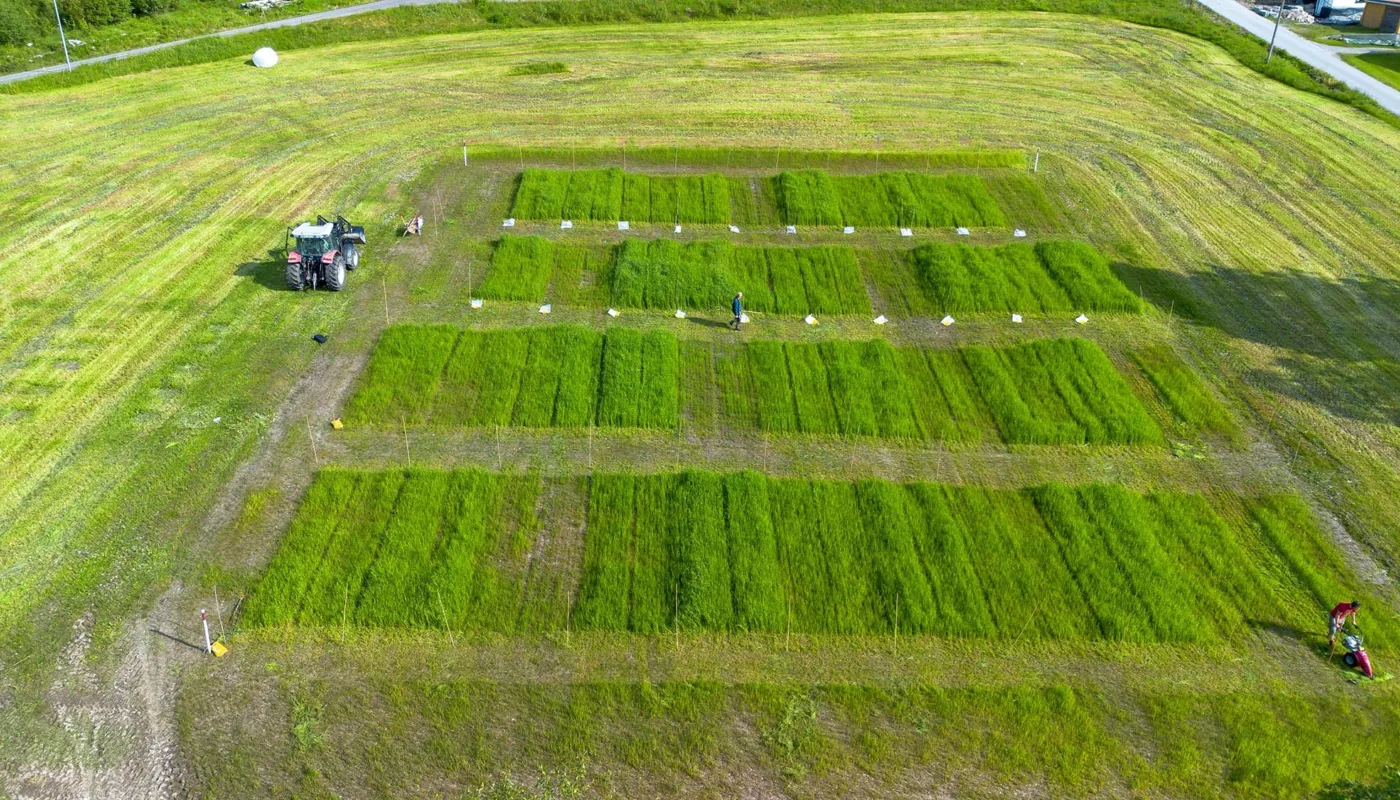 Soileffects Soileffects