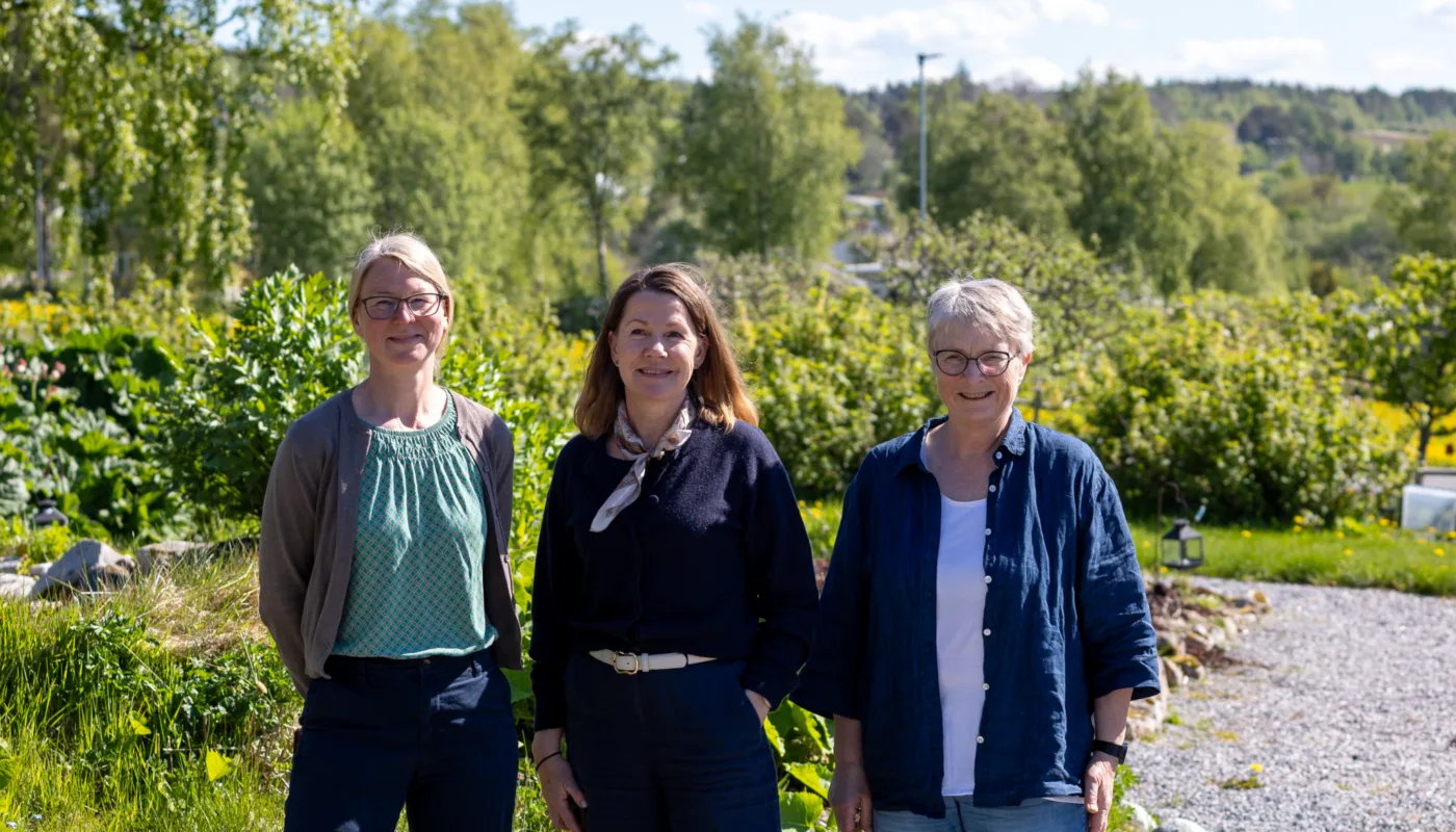 Norges vel besøk 2026 F.v Anne Strøm Prestvik (Seniorrådgiver landbruk) og Hilde Tveiten Døvre (Utviklingssjef Norge) fra Norges Vel. Flankert av daglig leder i NORSØK, Turid Strøm. Foto: Vegard Botterli (Foto: Vegard Botterli)