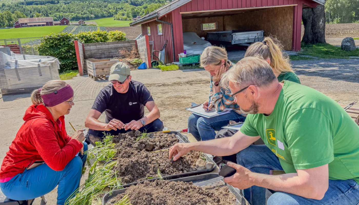 Verksted ute på gård Bønder og forskarar brukar garden som en praktisk læringsarena i BIO². Biletet er frå ein slik aktivitet, i eit anna NORSØK-prosjekt (Foto: Tatiana Rittl)