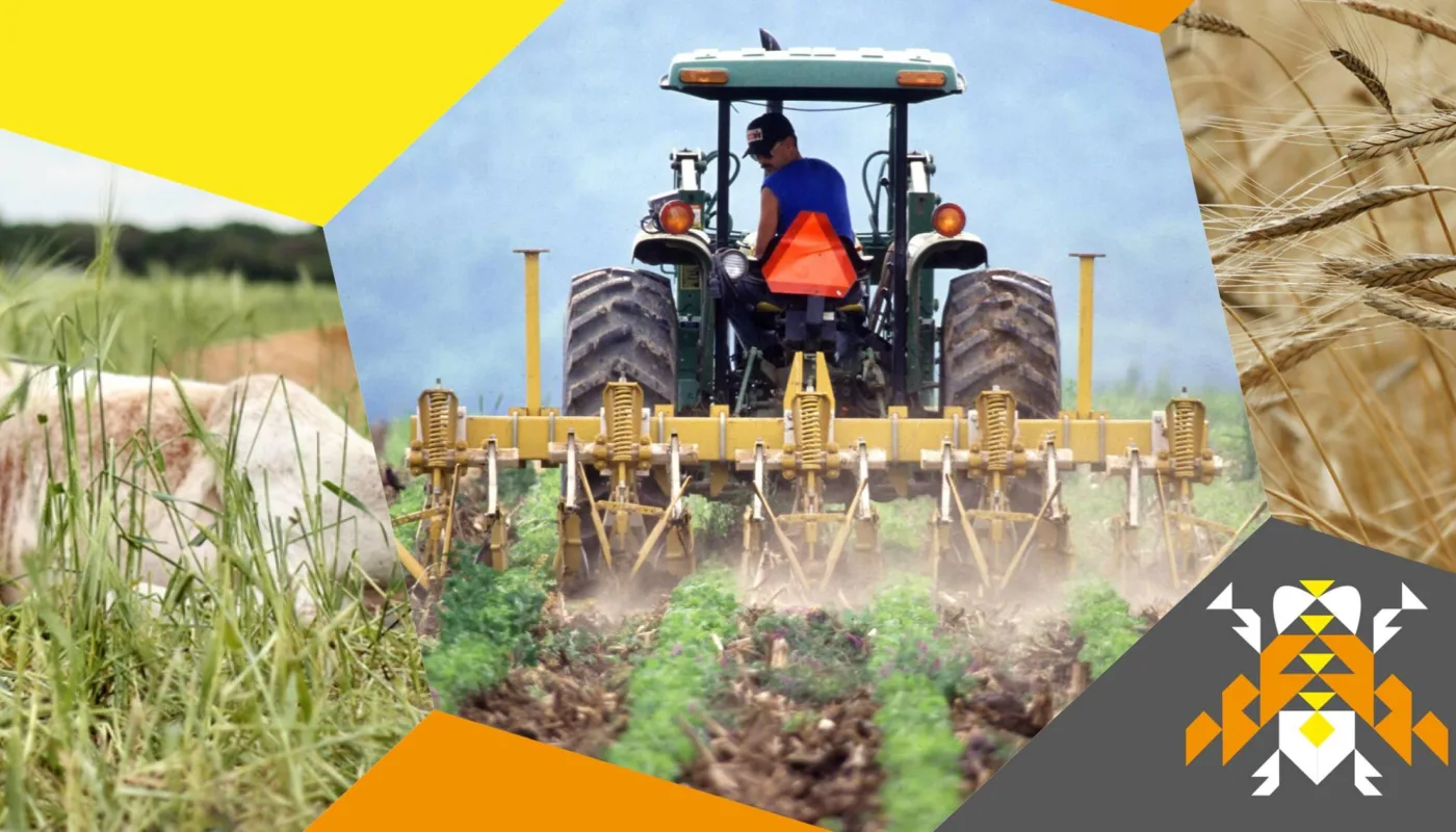 13987453 1083319448415936 64356477440580433 O 13987453 1083319448415936 64356477440580433 O