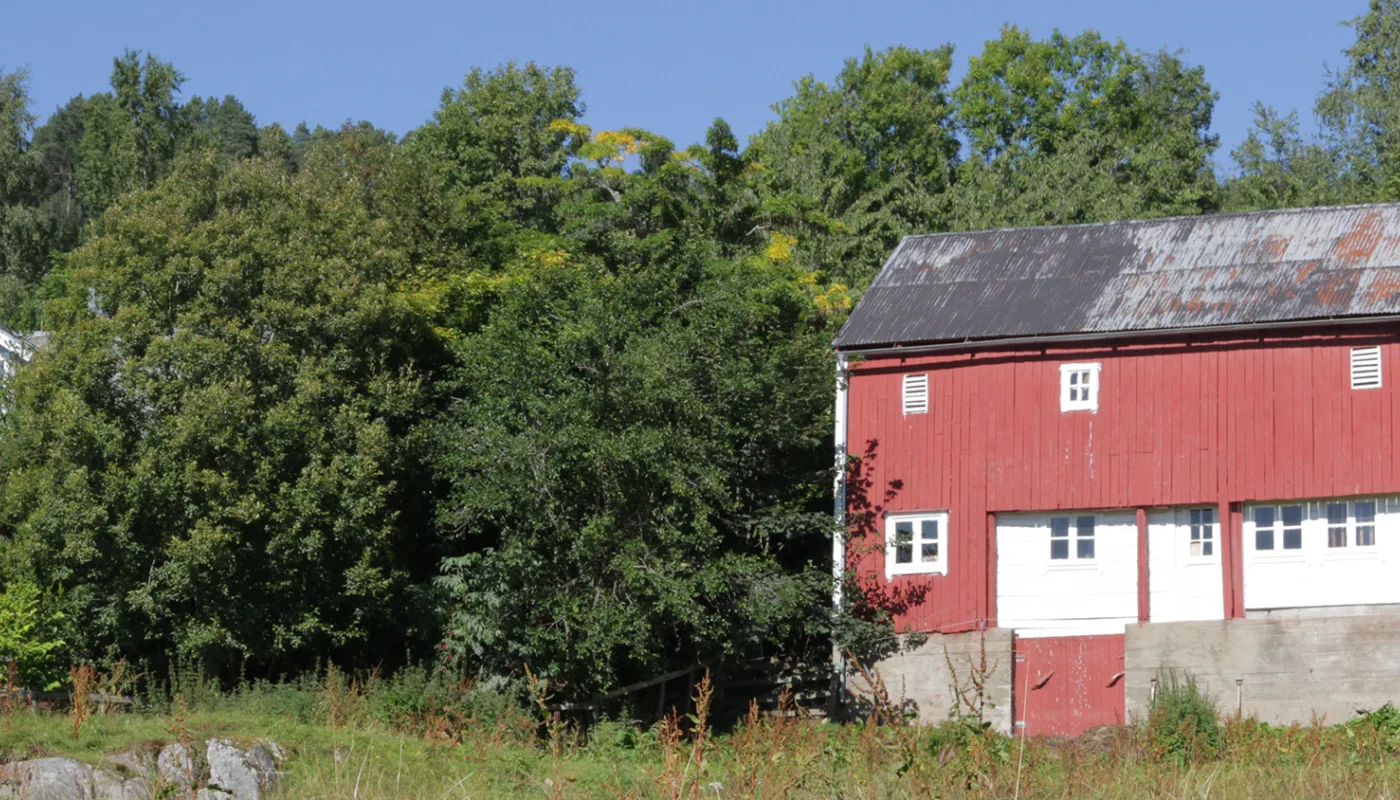 Img 9820 Liabonde Img 9820 Liabonde