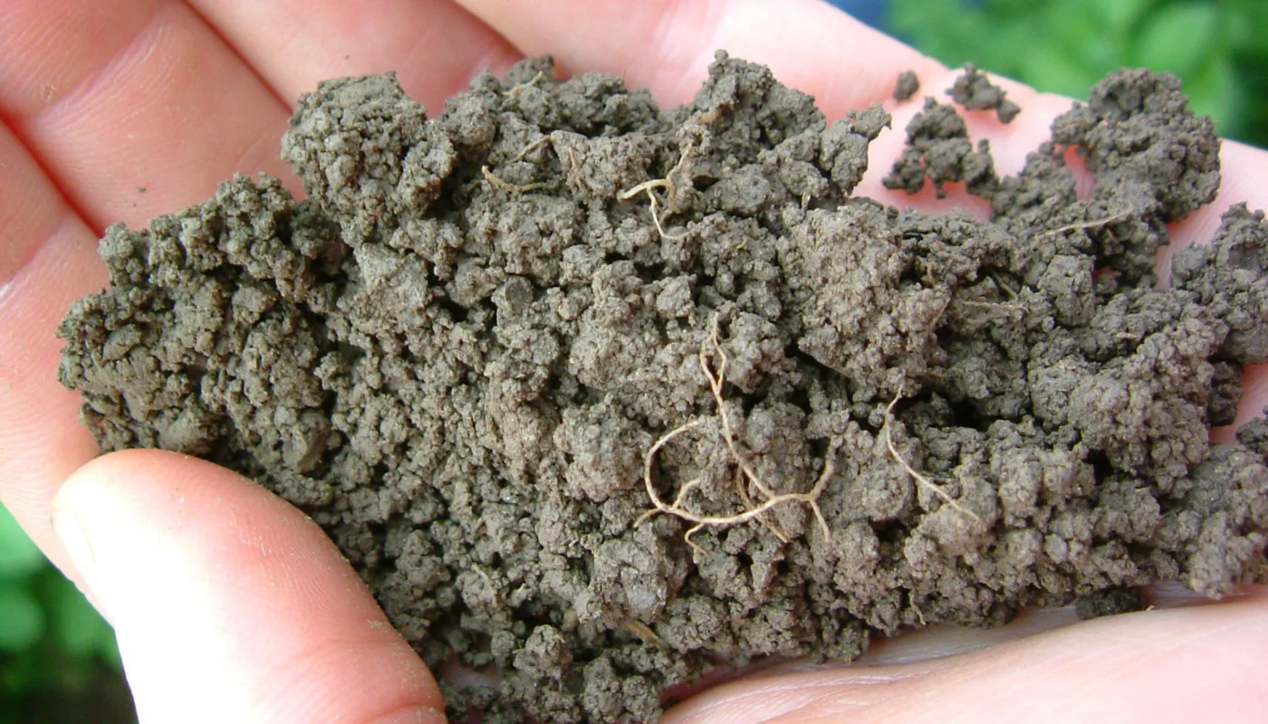 Grynstruktur Jord Foto Rp