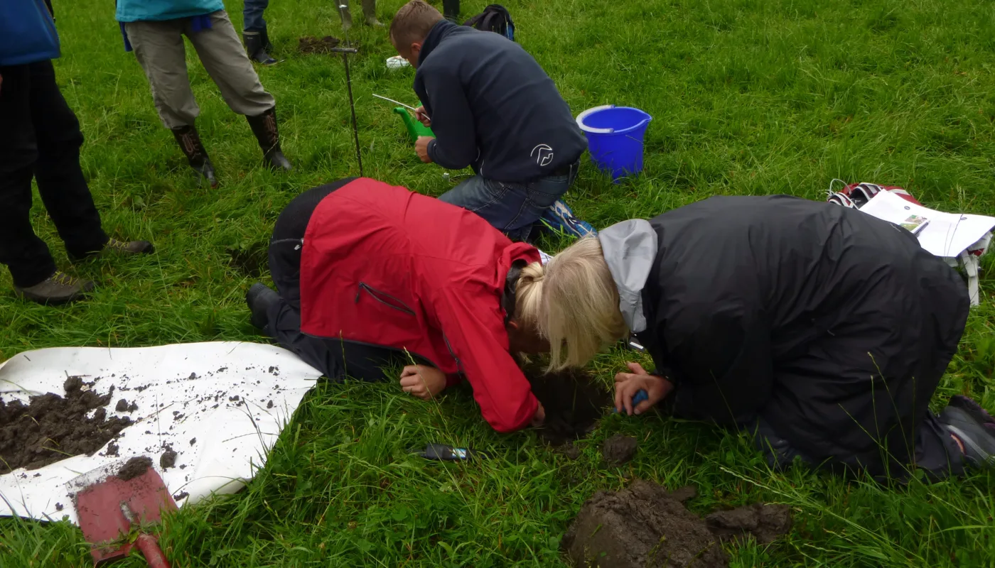 Jordlappen P1020251 (Foto: Reidun Pommeresche)