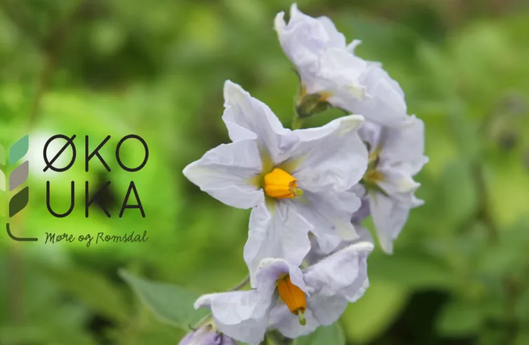 ØKOUKA I MØRE OG ROMSDAL 2017: 25. september – 1. oktober i Tingvoll Økopark