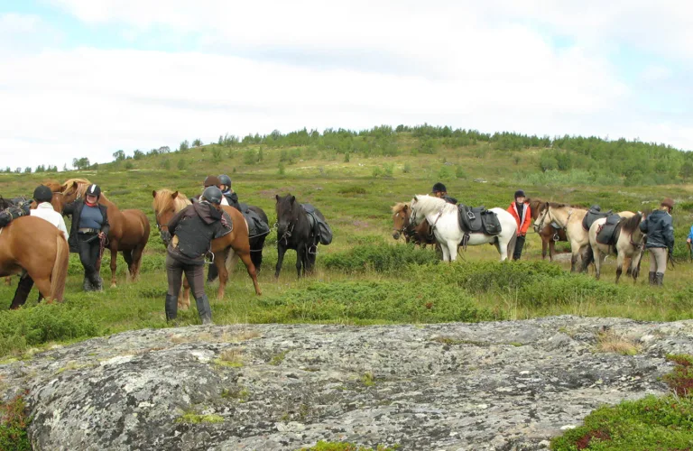 Using Horse Manure as Fertilizer – Teaching Good Manure Management to Ensure Nutrient Recycling
