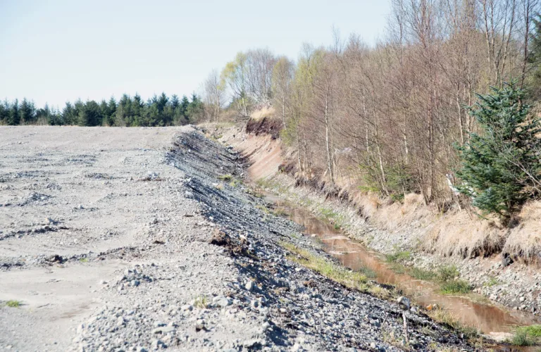 Fagmøte torsdag 19. oktober: Omgraving av myr