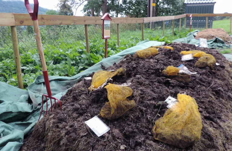 Biologiske metoder for nedbryting av medisinrester i gjødsel