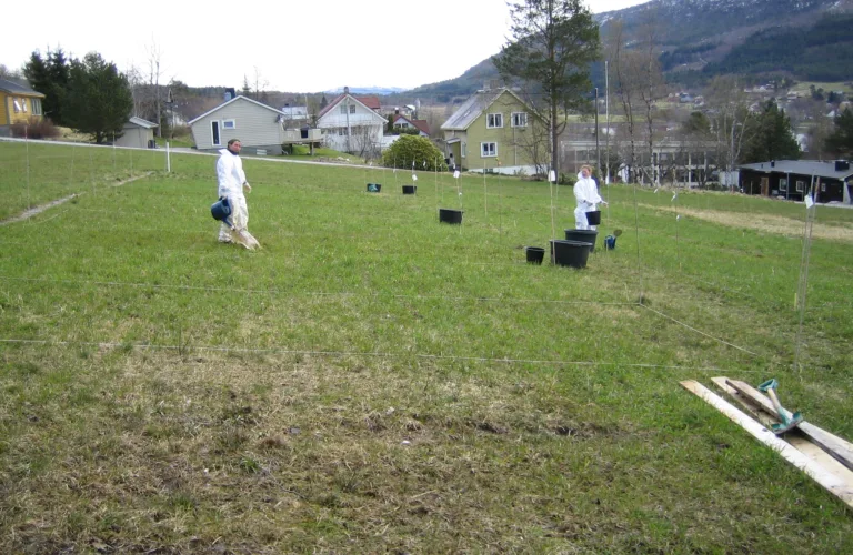 Biogassbehandling av husdyrgjødsel – hvordan påvirker det jordas fruktbarhet? Feltforsøket SoilEffects