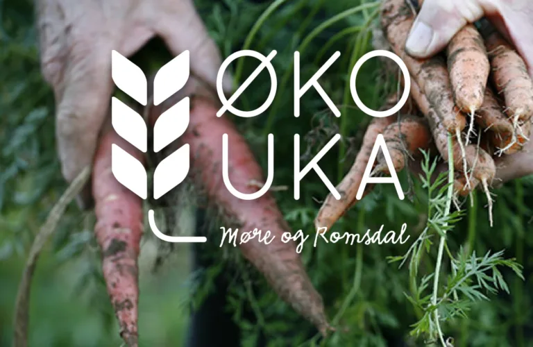 Program for Økouka i Møre og Romsdal 2018