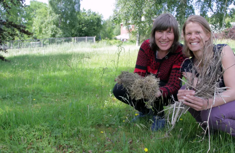 Improved estimation and mitigation of nitrous oxide emissions and soil carbon storage from crop residues (ResidueGas)