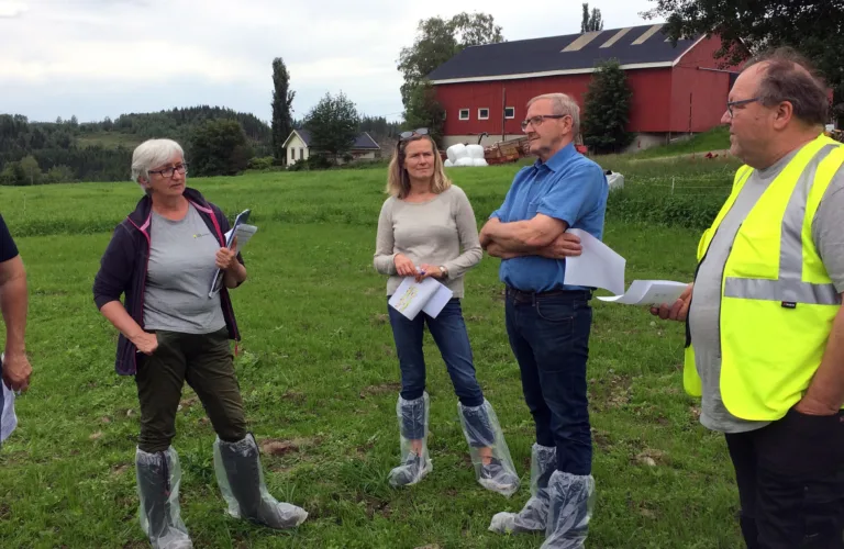 God vekst i forsøksfeltene