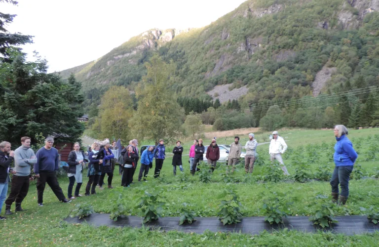 Markvandring Spiren andelslandbruk 19. september